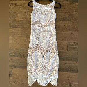 Coast lace pencil dress